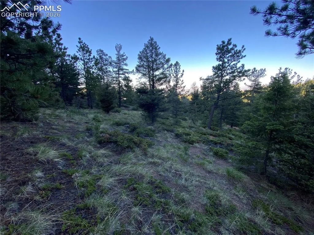 285 Forest Road, Manitou Springs