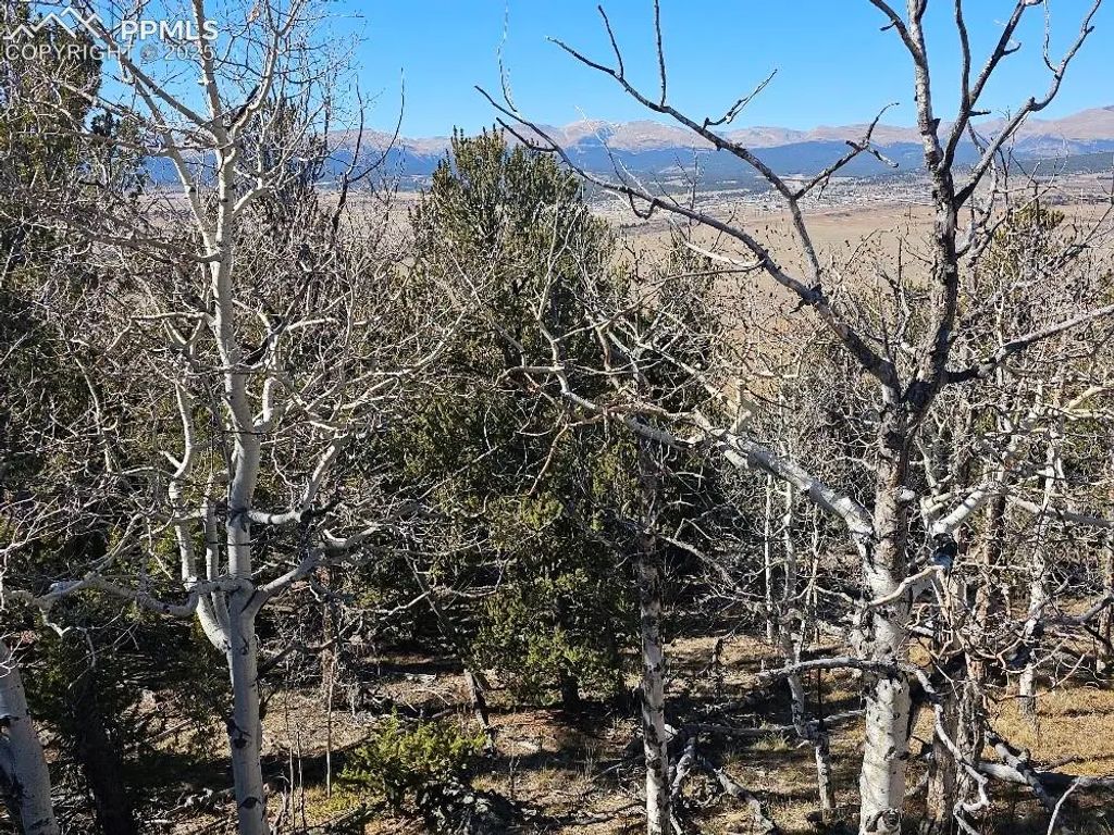 5585 Middle Fork Vista, Fairplay