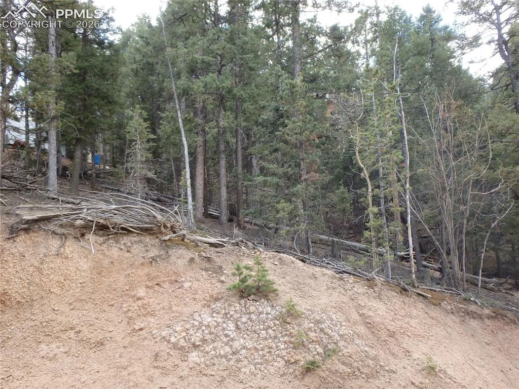 620 Wakanda Trail, Woodland Park