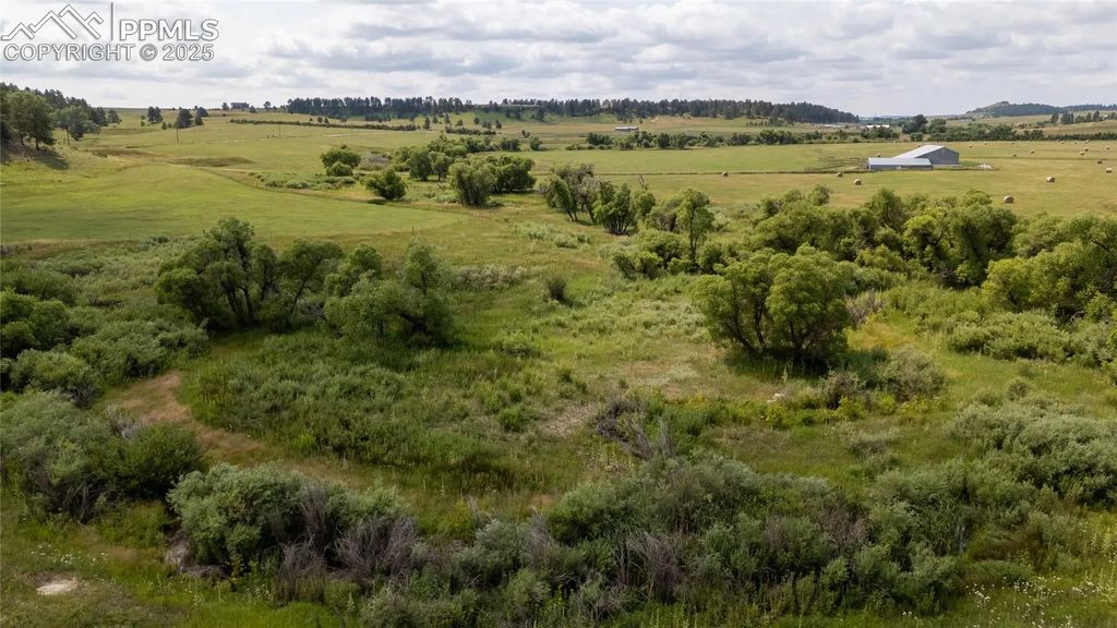 11503 E Smith Road, Elbert