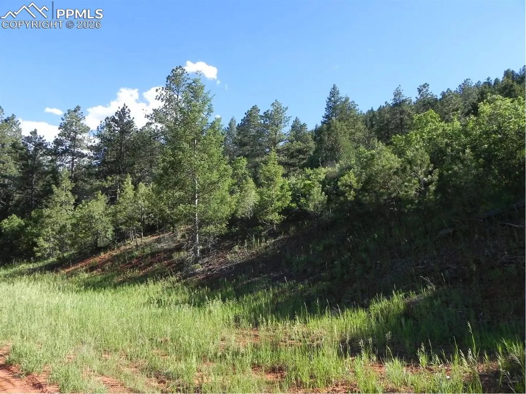 8117 Acoma Drive, Larkspur