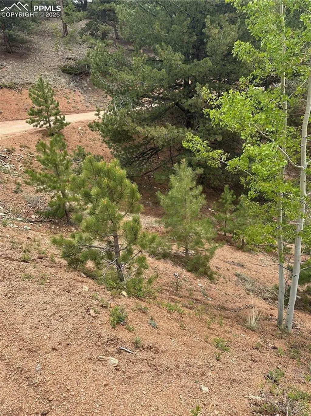 1600 Pikes Peak Drive, Divide