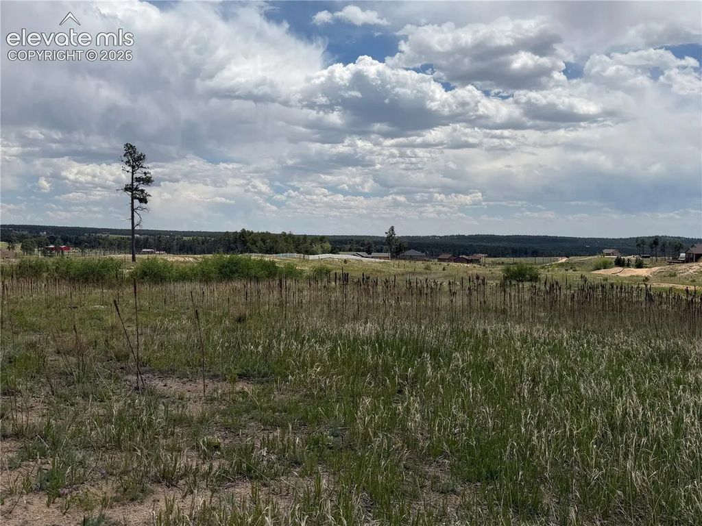 13810 Wildoak Drive, Black Forest