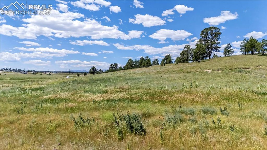 10958 Alamar Way, Colorado Springs