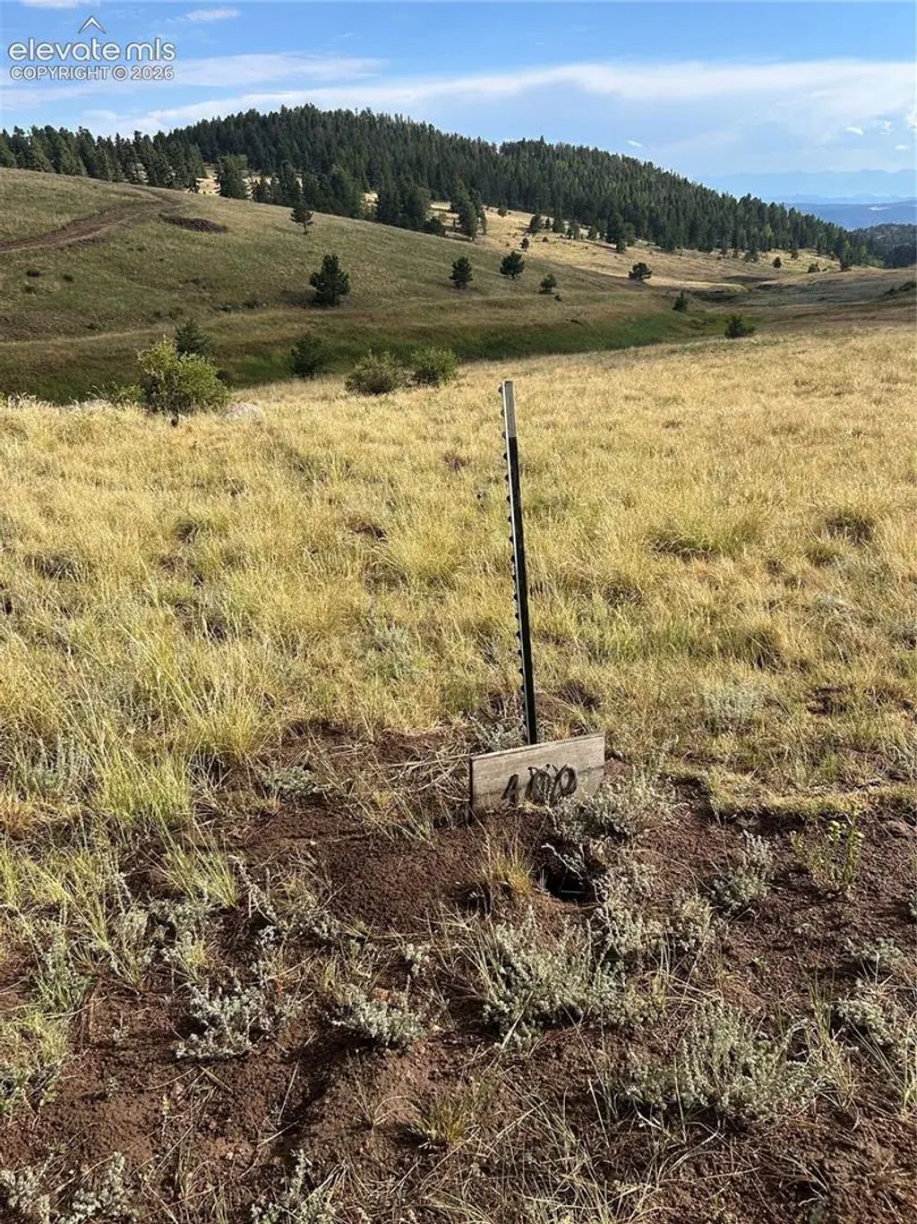 1100 Grumpy Burrow View, Cripple Creek