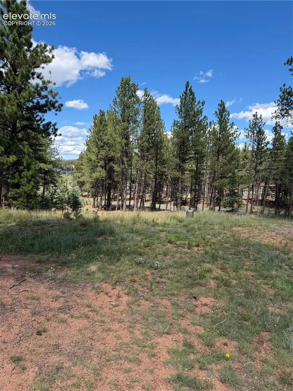 1396 Roberts Ranch Road, Woodland Park