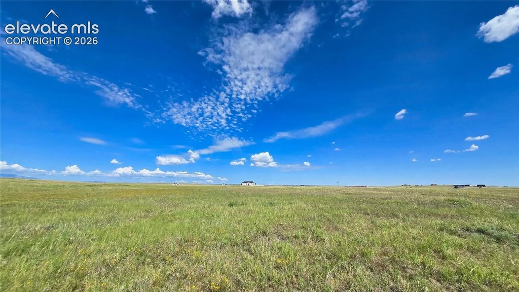 7355 Cowboy Ranch View, Peyton