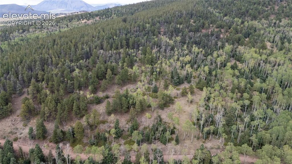 Lot 2915 Henderson Drive, Fort Garland