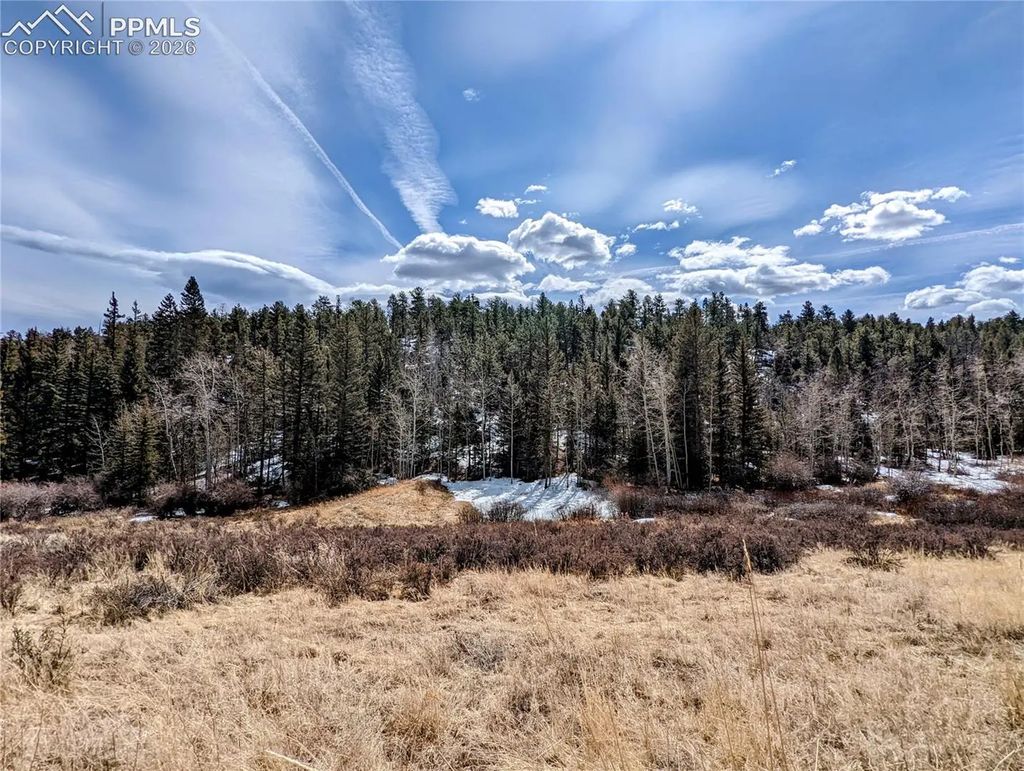 1620 Park Ridge Drive, Guffey