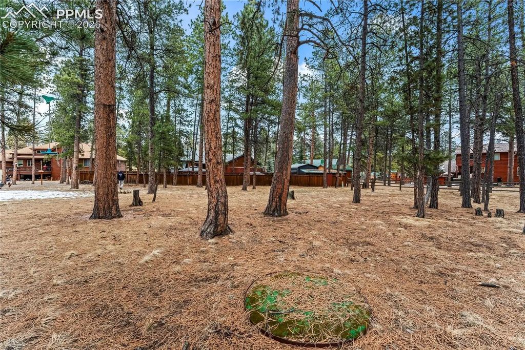 109 Flagstick Drive, Woodland Park