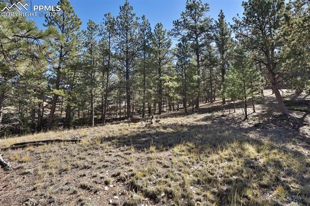 504 Bear Mountain Road, Florissant