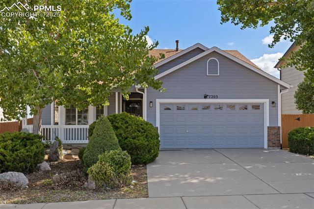 7203 Dove Valley Place, Colorado Springs