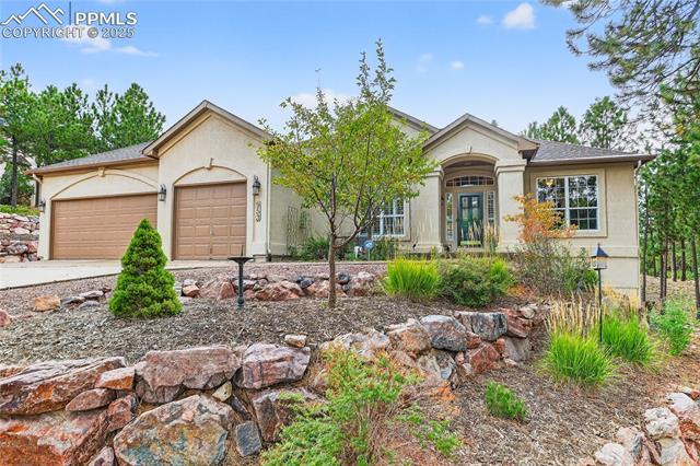 953 Pinenut Court, Colorado Springs