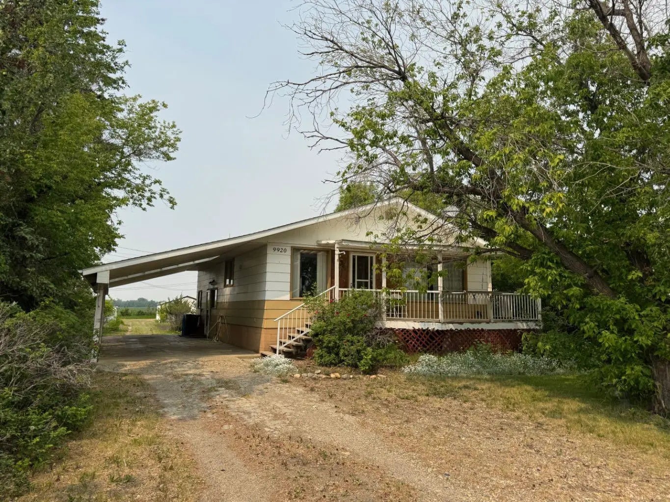 Photo of Listing #A2213443