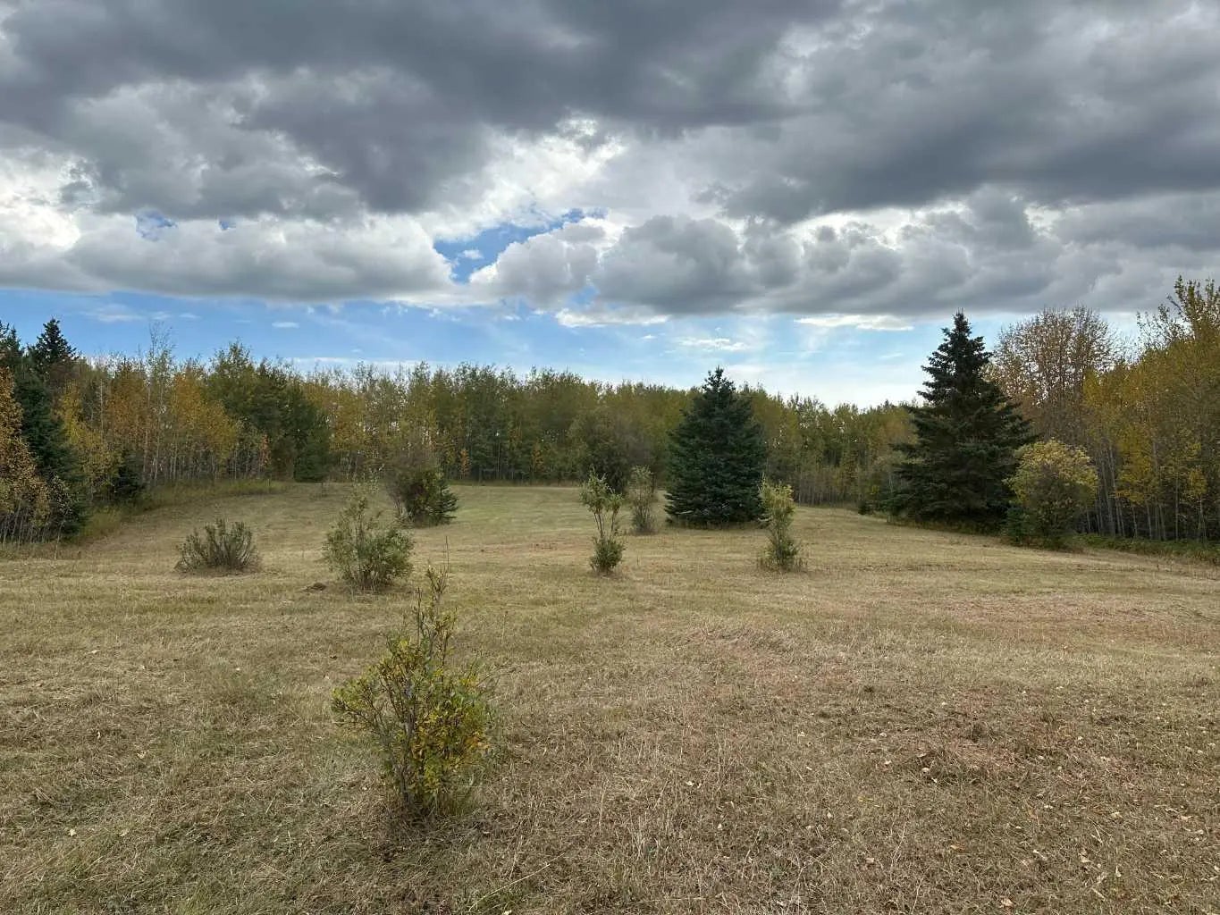 Photo of Listing #A2222014