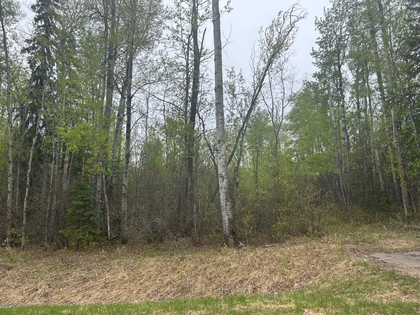 Photo of Listing #A2222673