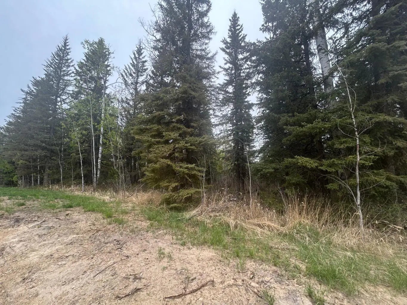 Photo of Listing #A2223048