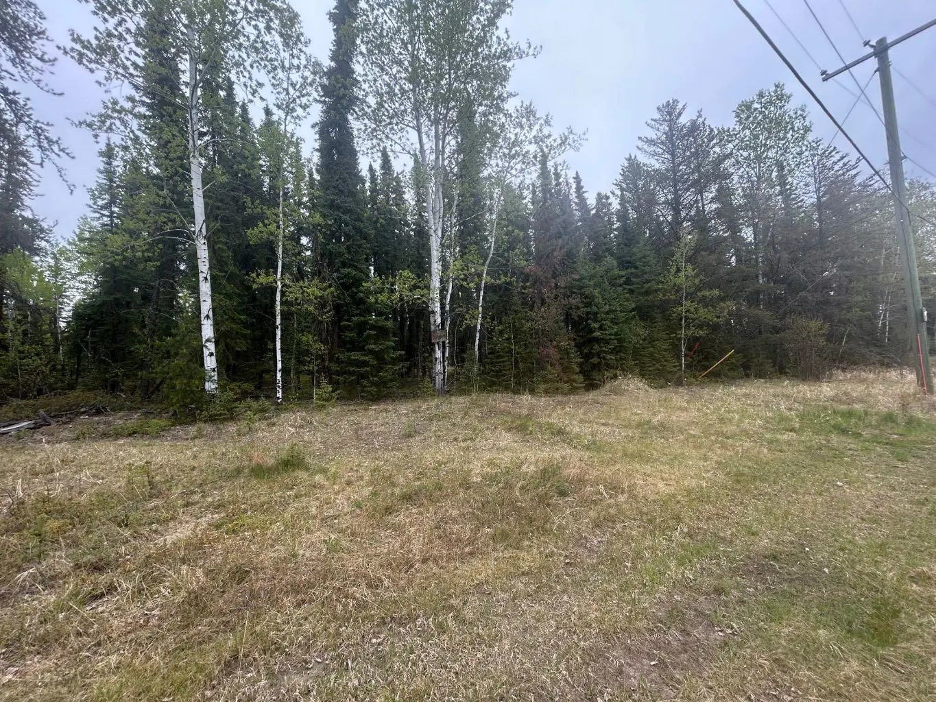 Photo of Listing #A2223050