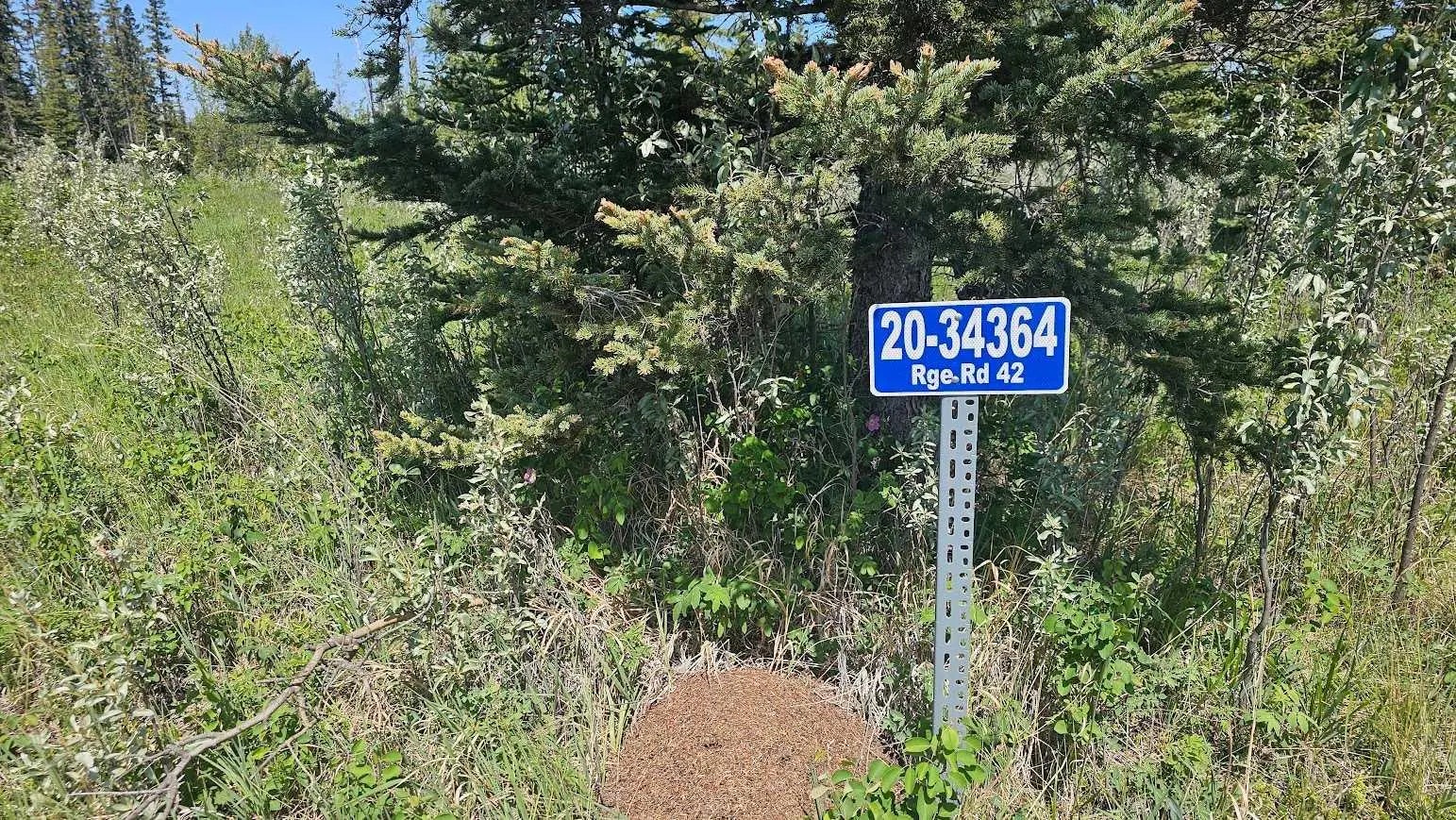 Photo of Listing #A2224213