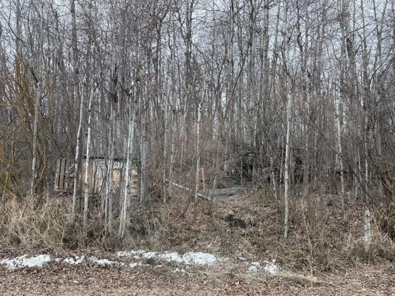 Photo of Listing #A2224255