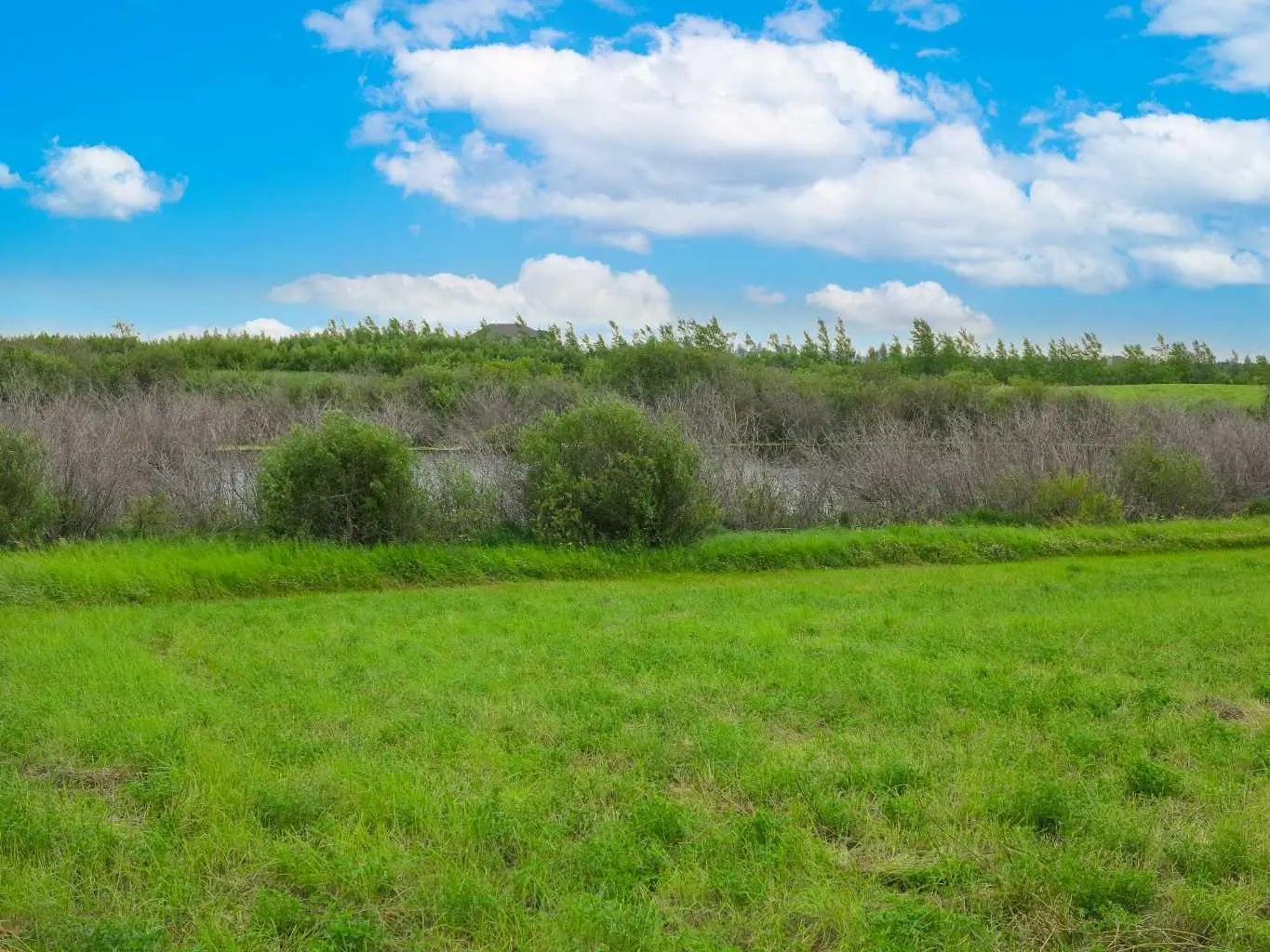 Photo of Listing #A2226808