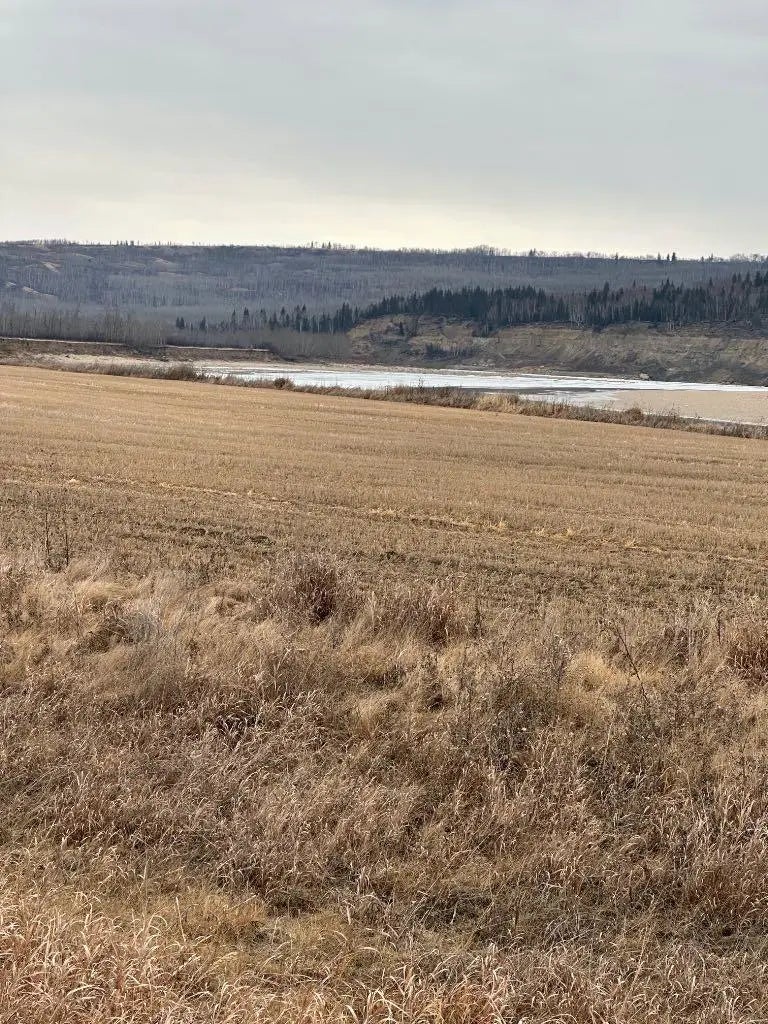 Photo of Listing #A2229180