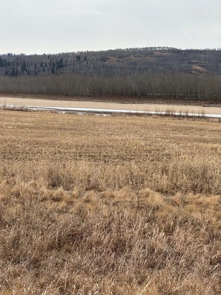 Photo of Listing #A2229183