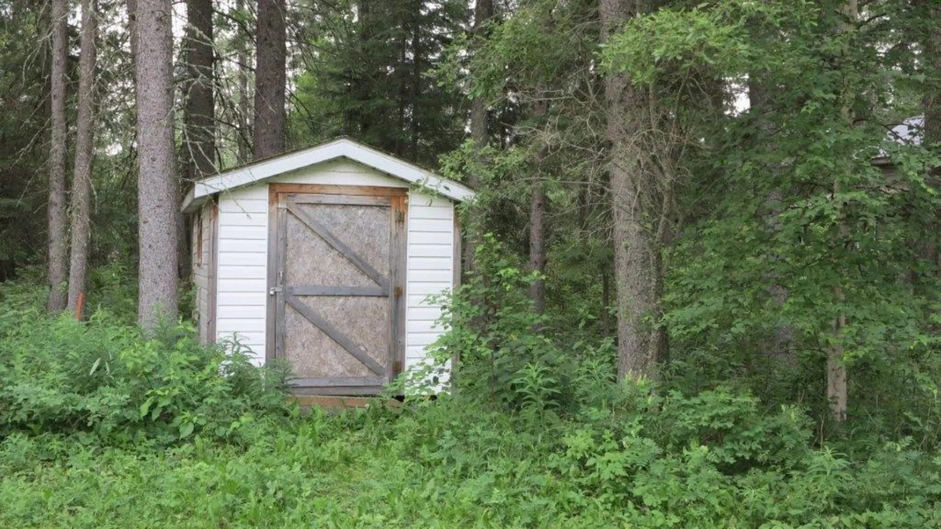 Photo of Listing #A2233706