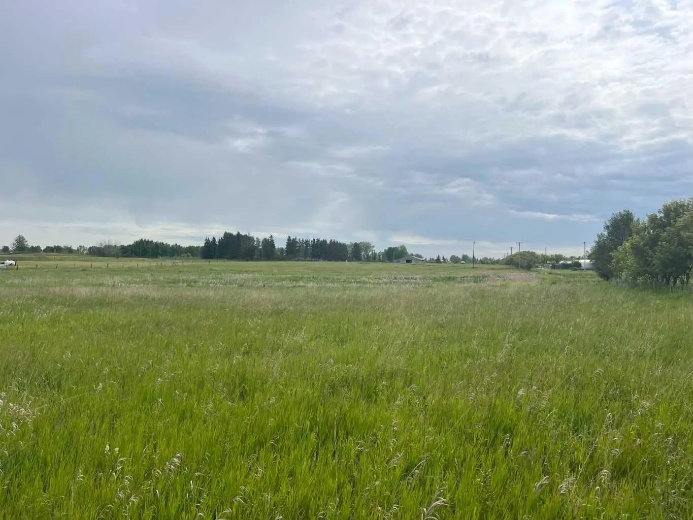 Photo of Listing #A2236610