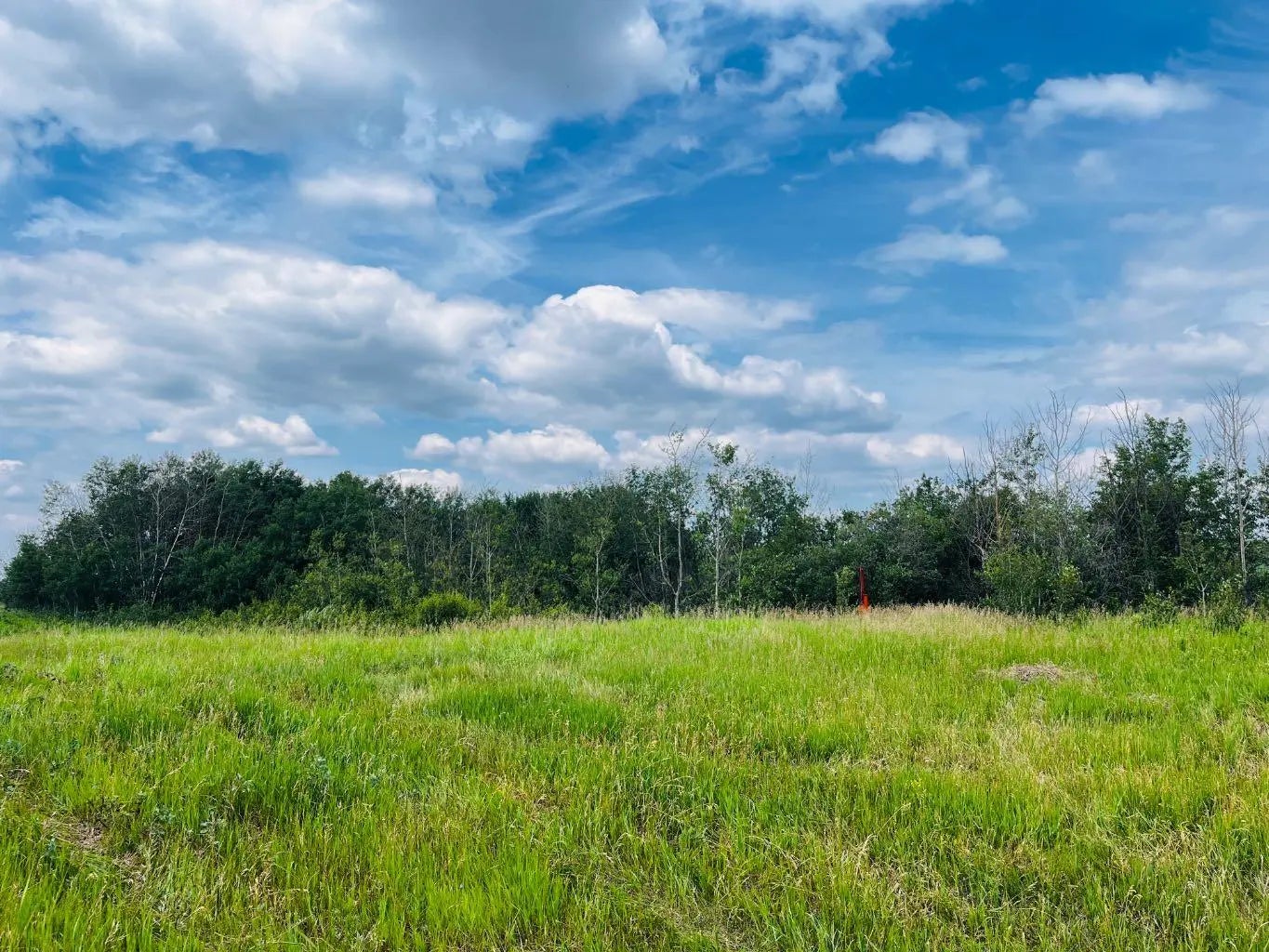 Photo of Listing #A2237873