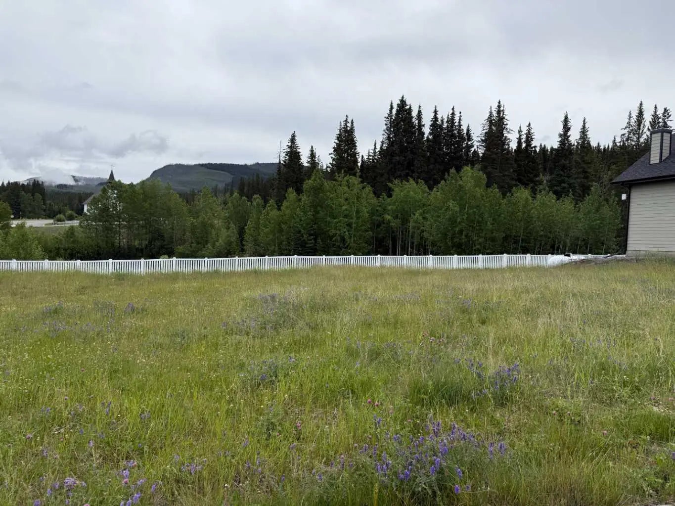 Photo of Listing #A2240853