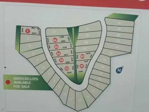 Photo of Listing #A2242404