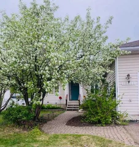 Photo of Listing #A2245338