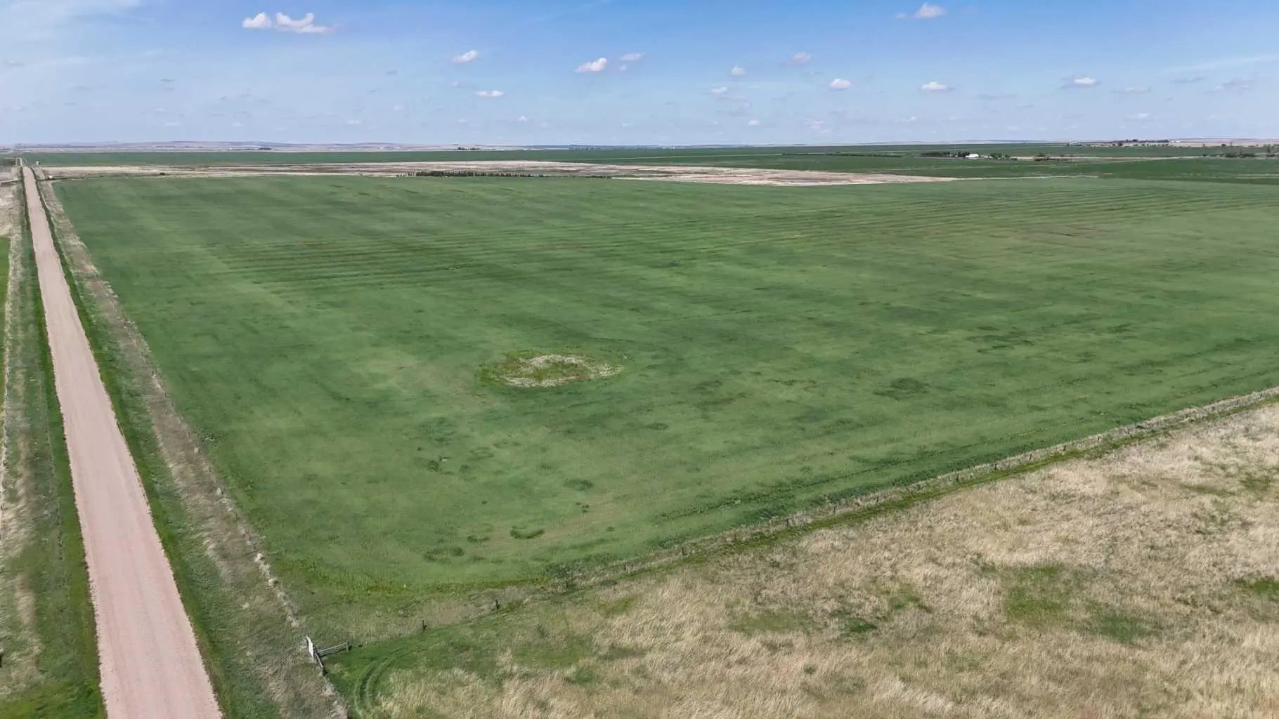 Photo of Listing #A2248231