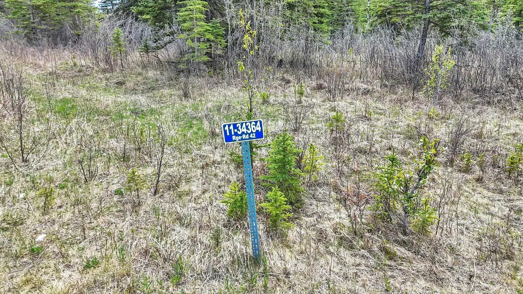 Photo of Listing #A2248905