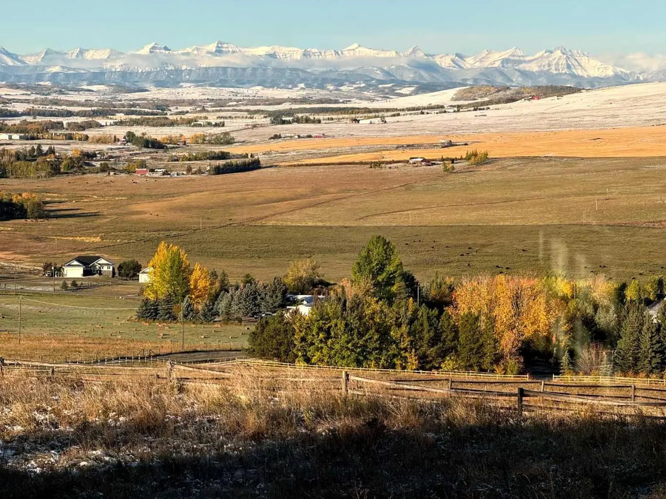 Photo of Listing #A2251193