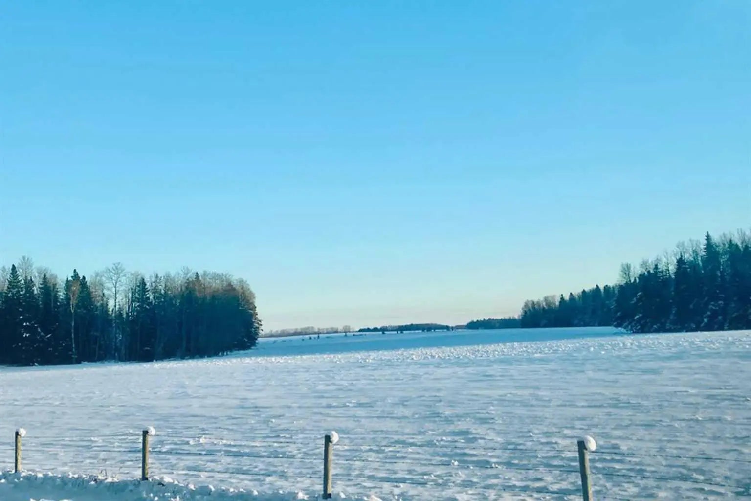 Photo of Listing #A2254667