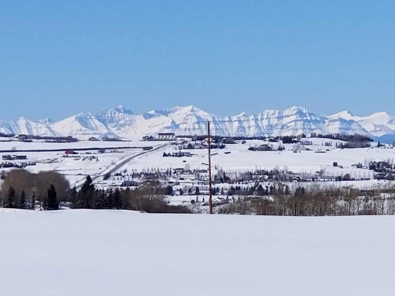 Photo of Listing #A2256859