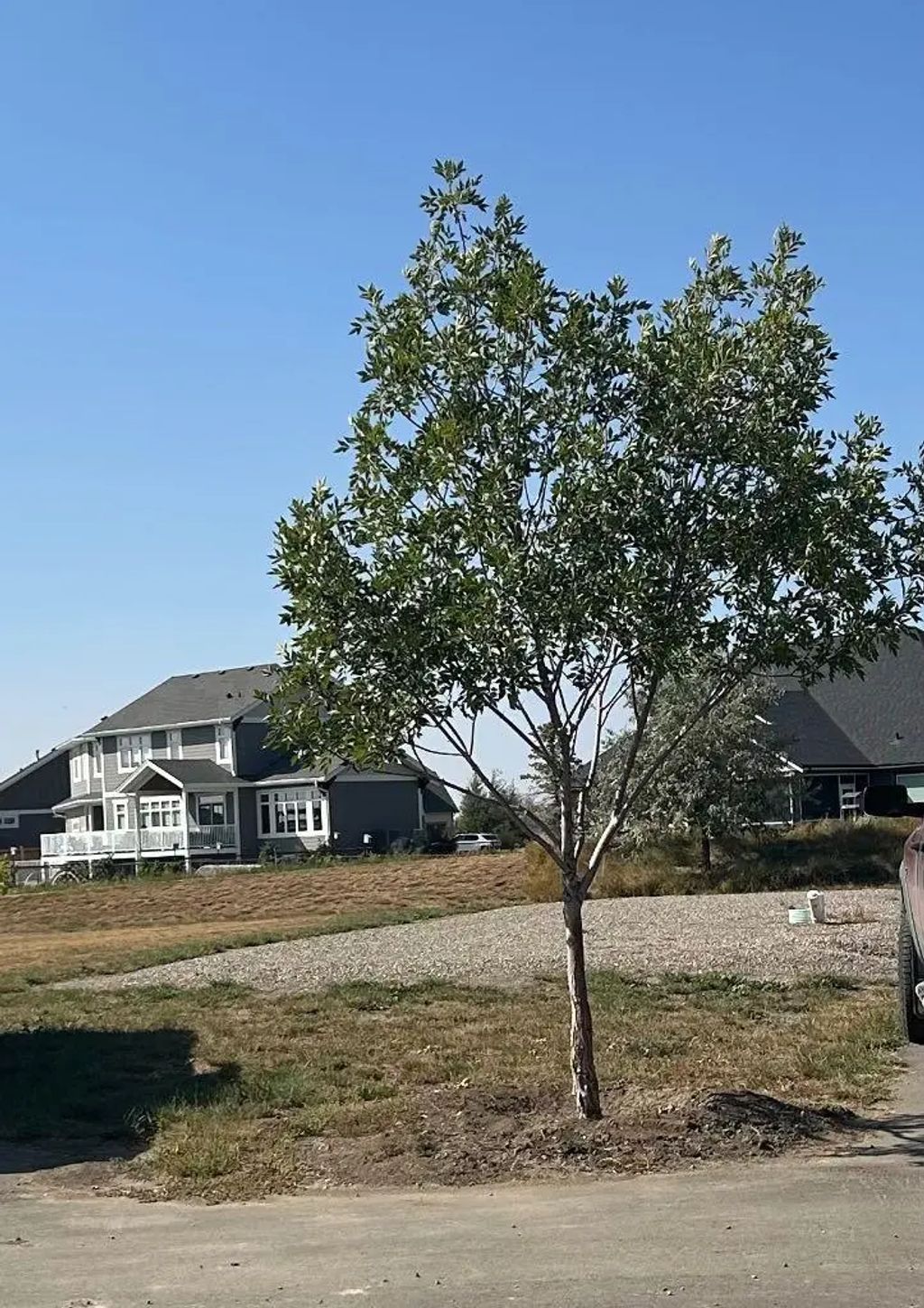2039 Sunflower Crescent , Coaldale