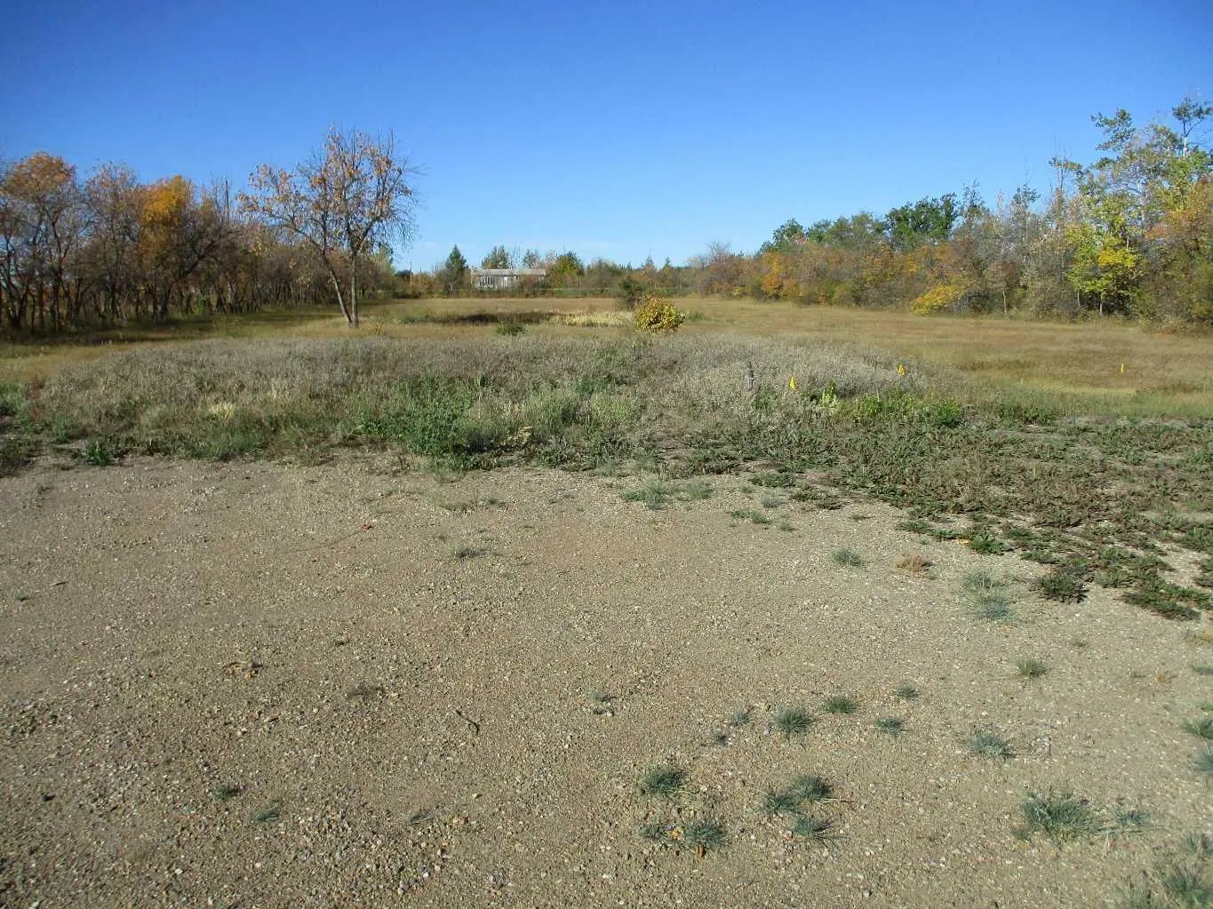 Photo of Listing #A2258289