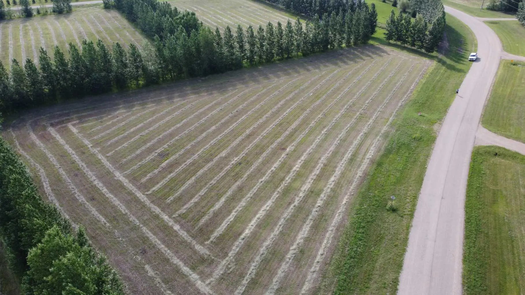 Photo of Listing #A2260134