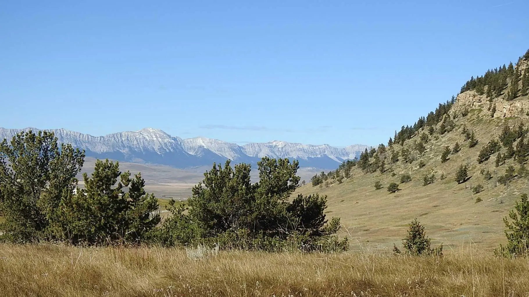 Photo of Listing #A2262209