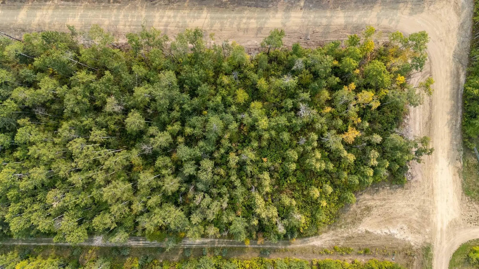 Photo of Listing #A2262587