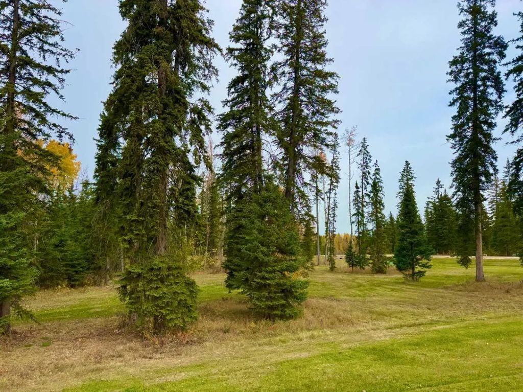 202 Meadow Ponds Drive , Rural Clearwater County