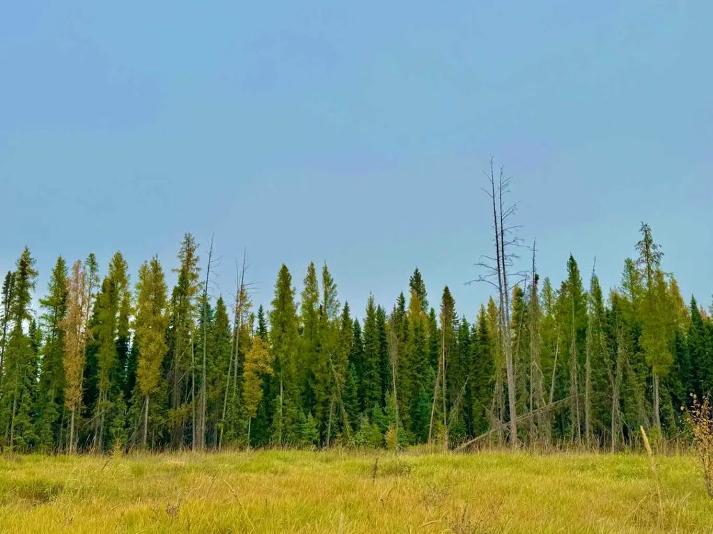 400 Valley View Close , Rural Clearwater County