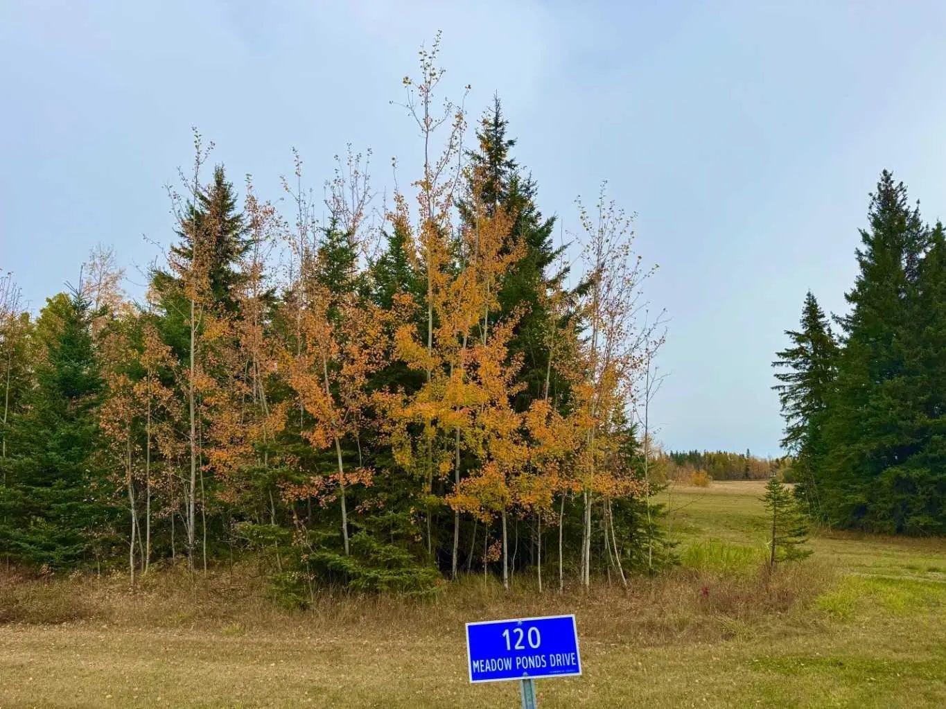 Photo of Listing #A2264720