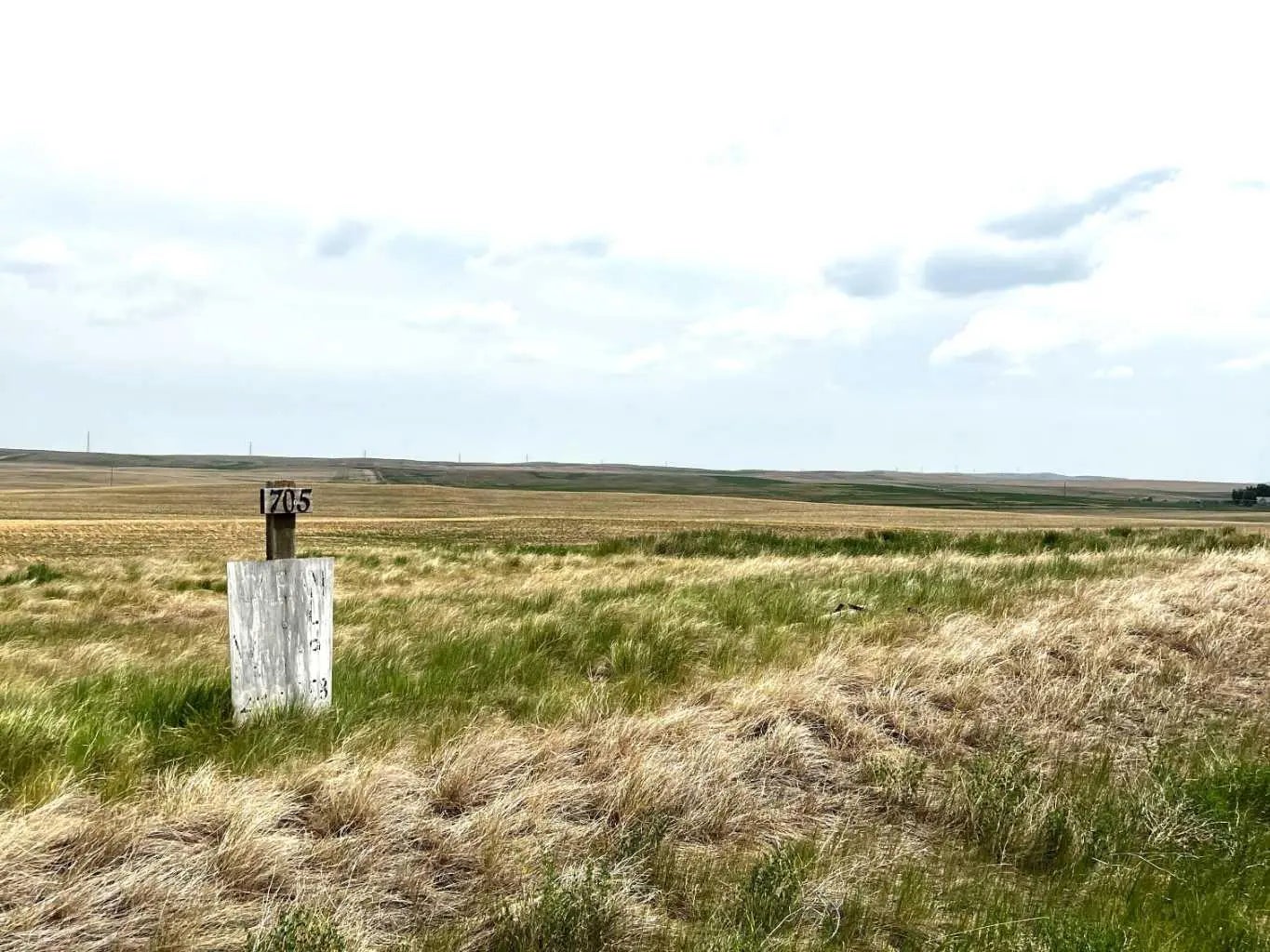 Photo of Listing #A2266179