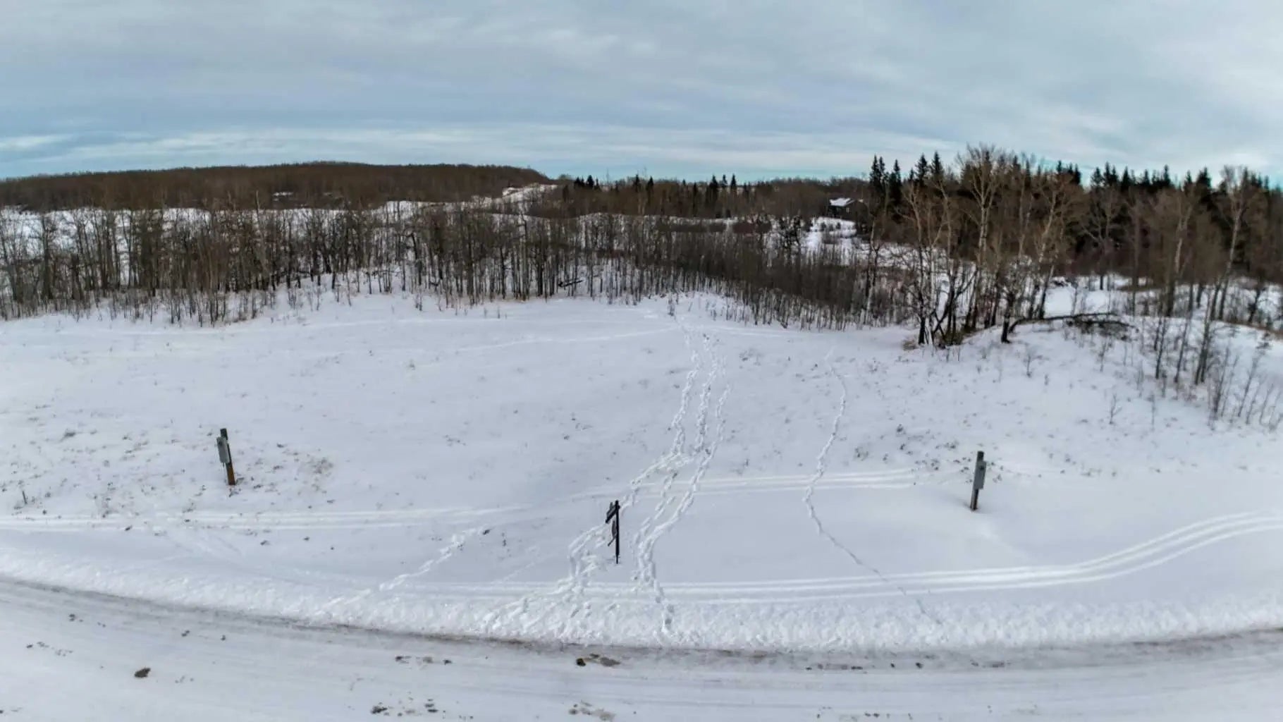 Photo of Listing #A2268300