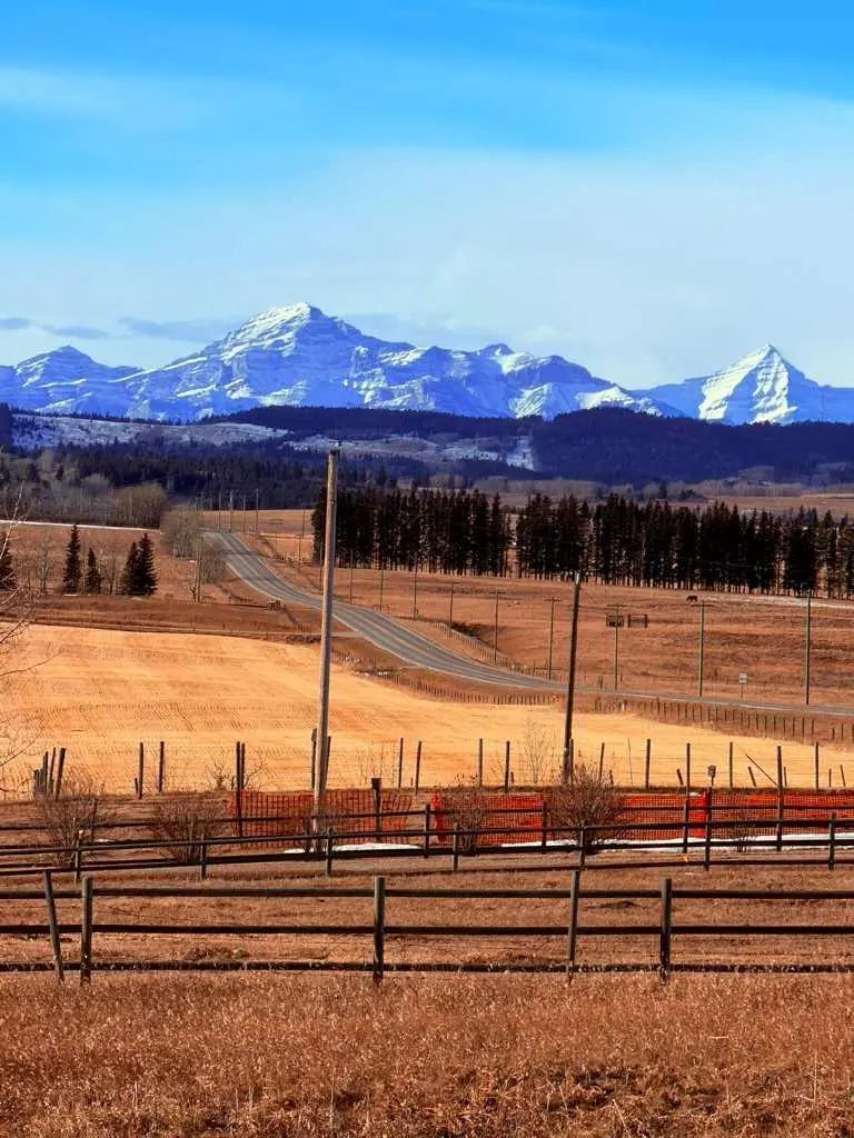 Photo of Listing #A2270949