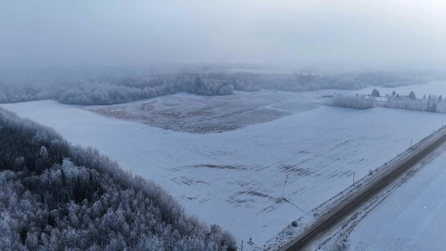 Photo of Listing #A2273631